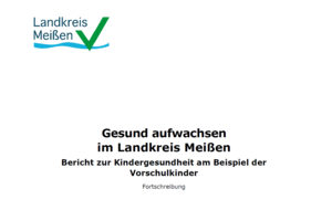 Bild-Gesundheitsbericht-2025