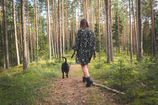 Spaziergängerin mit einem Hund auf einem Waldweg
