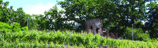 Bild vergr&ouml;&szlig;ern: Blick auf einen Wartturm auf einem Weinberg.